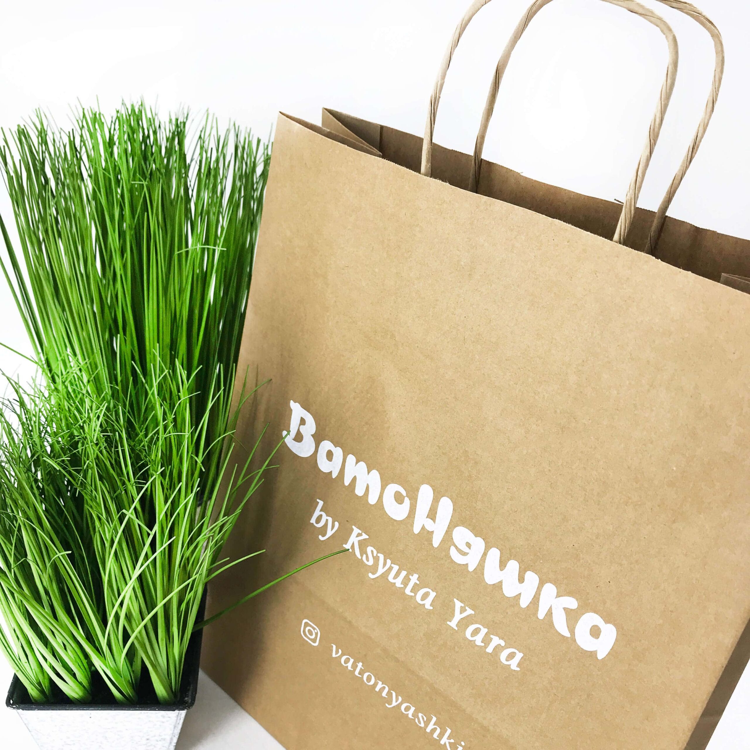 Что такое крафт пакеты: применение и преимущества