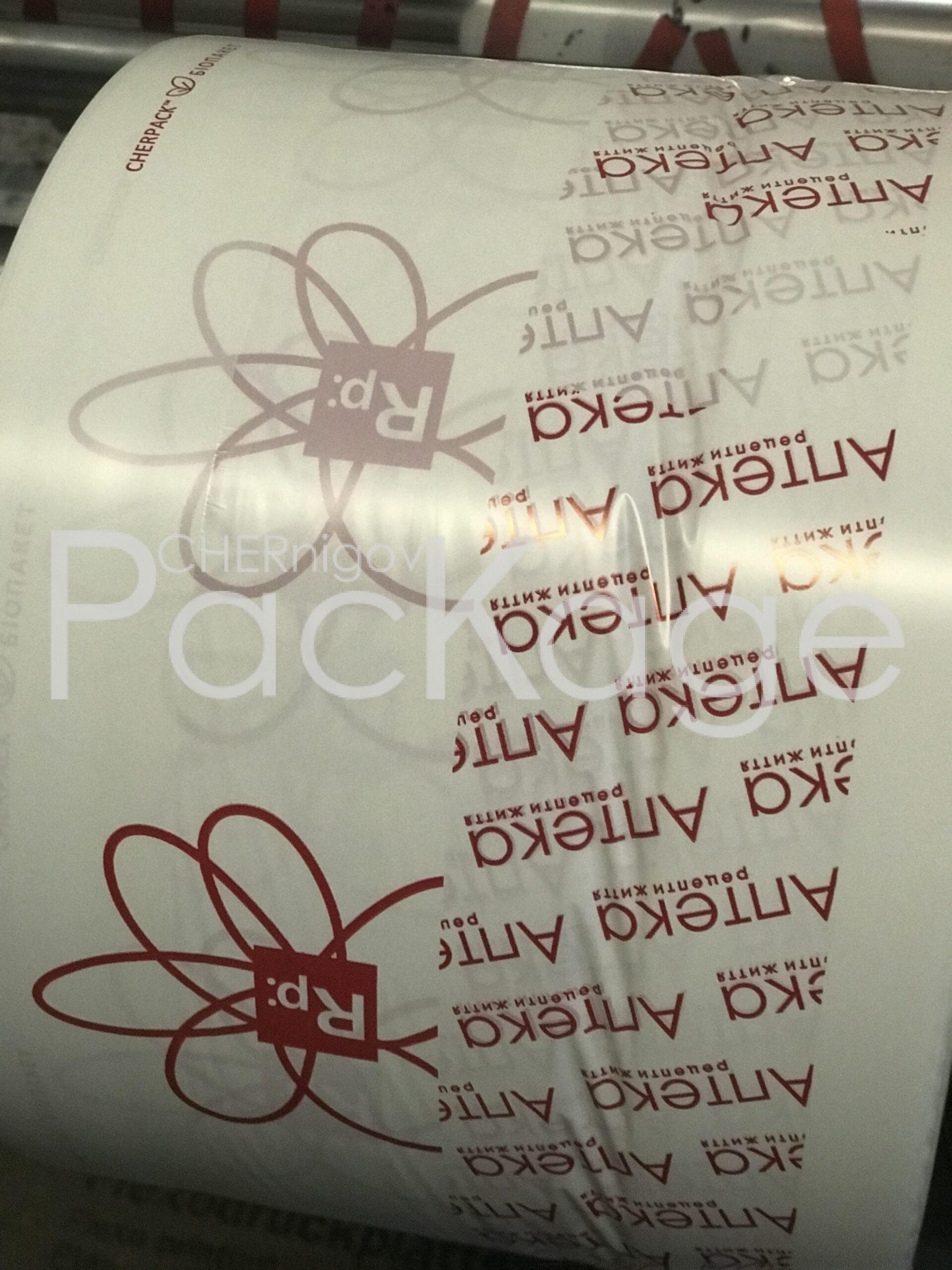 Лучшие религиозные пакеты: выбор и сравнение предложений